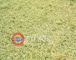 山東魯峰金銀花植物提取物產(chǎn)品系列概覽